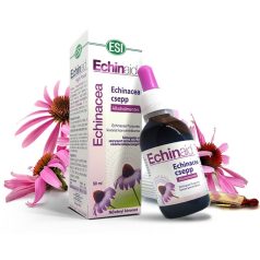 Echinacea Immuntámogató csepp 50ml