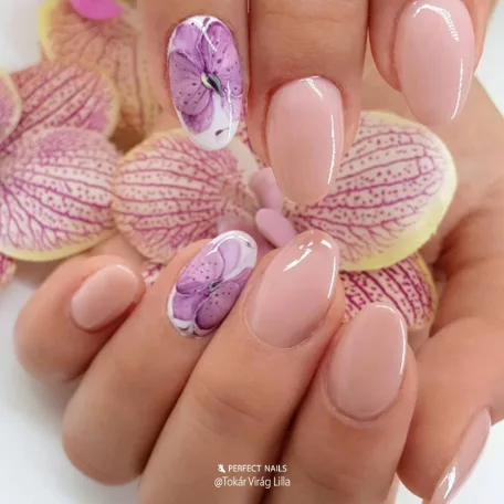 Körömágyhosszabbító Porcelánpor - Masque Pink Powder - 50ml - Perfect Nails