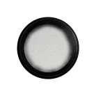Chrome Powder - Körömdíszítő Krómpor - Fehér - Perfect Nails