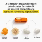 MUAY Movifar 30 kapszula Csomag (4db)