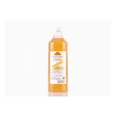 Frizzy Citrom rostos szirup 1 l