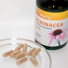 Vitaking Bíbor Kasvirág 250mg 90 kapszula