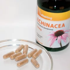 Vitaking Bíbor Kasvirág 250mg 90 kapszula