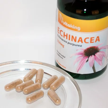 Vitaking Bíbor Kasvirág 250mg 90 kapszula