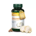 Vitaking Süngomba 500mg 60 kapszula