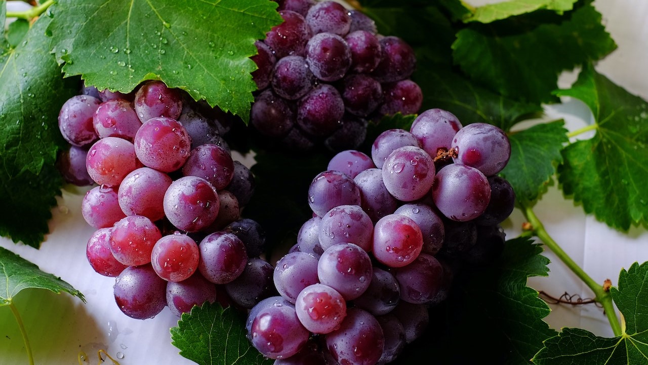 A szőlő javítja a közérzetet